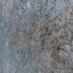 Lets Holidays Sea Views On The *