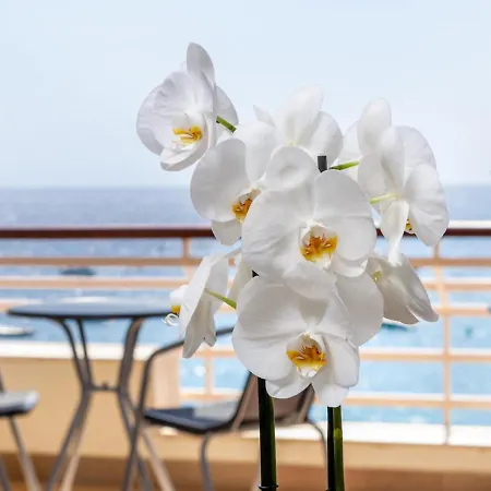 Lets Holidays Sea Views On The *